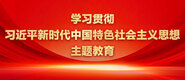 操女人骚逼视频学习贯彻习近平新时代中国特色社会主义思想主题教育_fororder_ad-371X160(2)